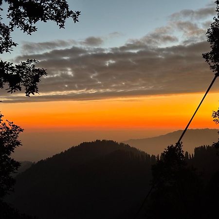 Hostel 360 Degree, Jibhi Bagian luar foto